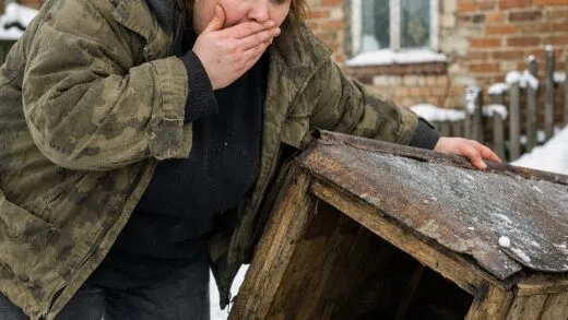 Життя після строку: як одна знахідка у дворі допомогла жінці почати все знову - 4 Березня, 2026