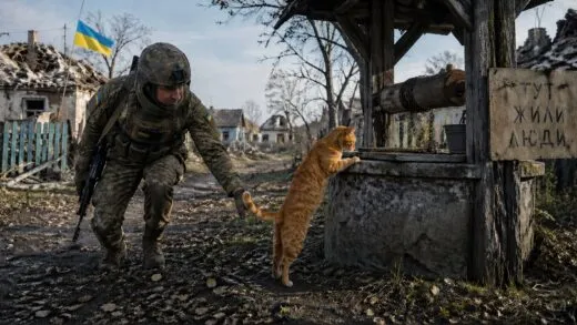 У звільненому селі кіт три дні наполегливо тягнув українського солдата до старого колодязя | 29 Квітня, 2026