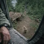 «Там неможливо вижити»: фатальна помилка рятувальників, які припинили пошуки цієї жінки 12 років тому | 18 Квітня, 2026