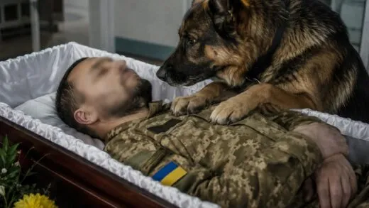 На прощании с солдатом собака вдруг начала лаять, и через минуту все поняли причину | 19 мая, 2026