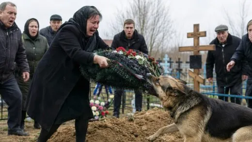 Во время похорон пёс неожиданно сорвал траурный венок, и вскоре стало ясно, что он сделал это не случайно | 6 июня, 2026