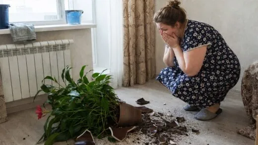 Перед відрядженням чоловік приніс додому нову квітку, і лише після його від’їзду я зрозуміла, навіщо вона була потрібна | 24 Червня, 2026