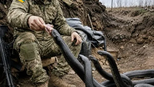 Солдат підгодовував змій задля забави… Він навіть не здогадувався, чим одного дня це обернеться… | 6 Серпня, 2026