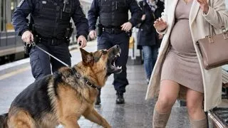 Собака не переставала гавкати на вагітну жінку | 15 Вересня, 2026