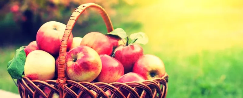 Яблочный спас