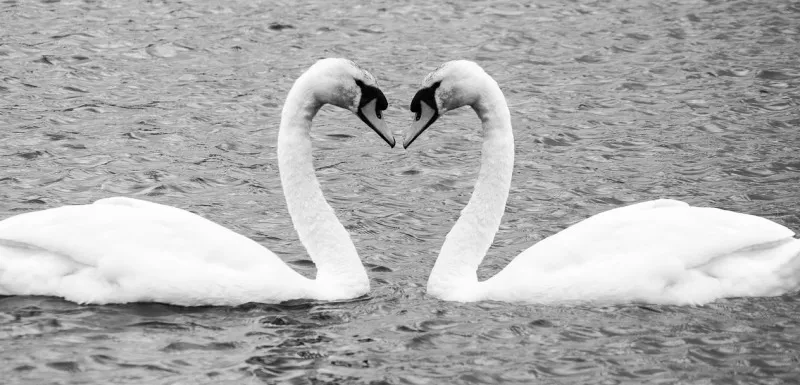 Любовный гороскоп на 27 апреля 2018 года