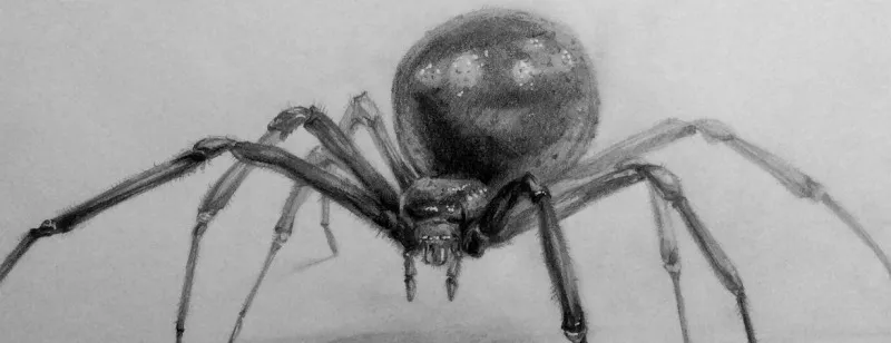 Сонник - паук