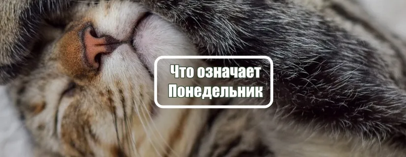 Понедельник