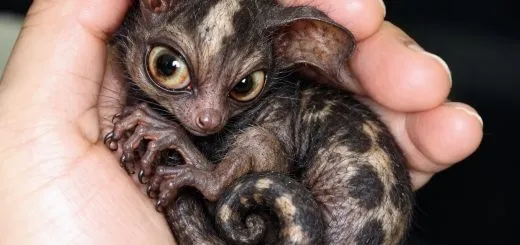77 1
